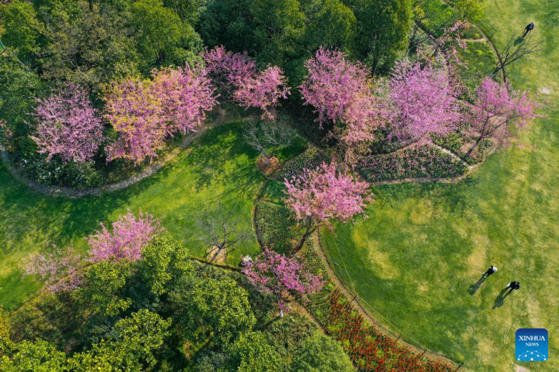 In Pics: China in Springtime