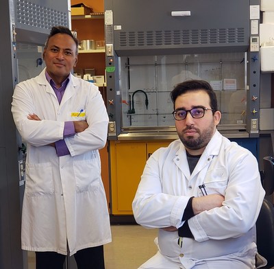 Natural polyphenol seems to inhibit the activity of three important molecular pathways involved in the SARS-CoV-2 infection. MONTRÉAL and LAVAL, QC, March 9, 2022 /CNW Telbec/ - Professor Charles Ramassamy and his postdoctoral researcher Mohamed Haddad...